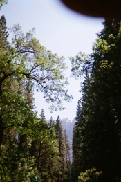 Yosemite_09 copy